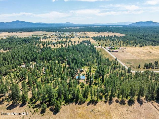 3003 E Carver Ln, Athol, ID 83801 - photo 56