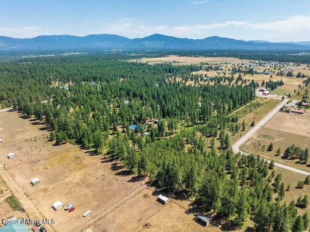 3003 E Carver Ln, Athol, ID 83801 - photo 57