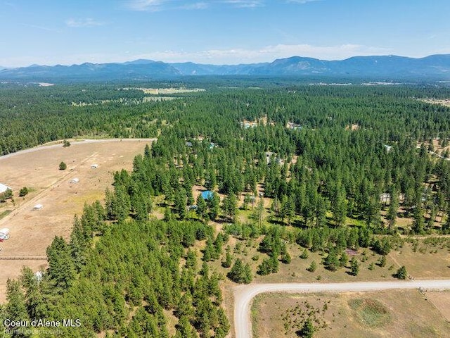 3003 E Carver Ln, Athol, ID 83801 - photo 58