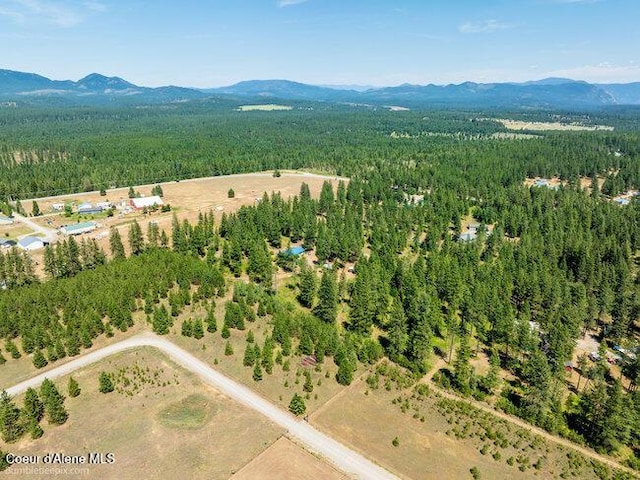 3003 E Carver Ln, Athol, ID 83801 - photo 59