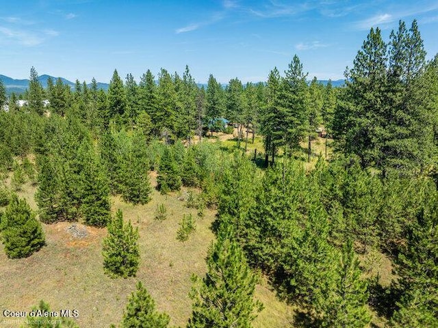3003 E Carver Ln, Athol, ID 83801 - photo 60