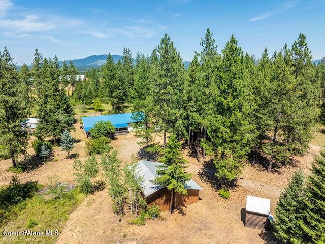 3003 E Carver Ln, Athol, ID 83801 - photo 1