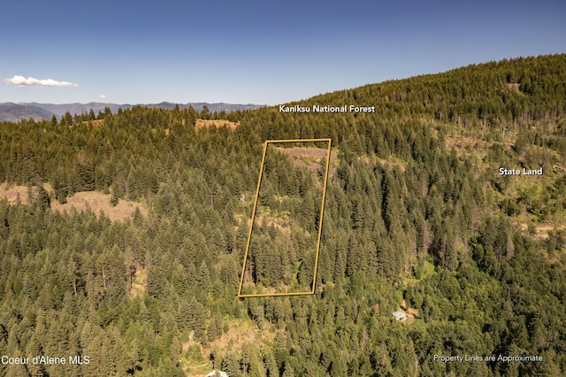 LOT4 Windham Rd, Sagle, ID 83860