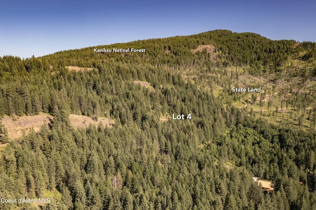 LOT4 Windham Rd, Sagle, ID 83860