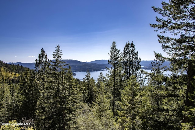 LOT4 Windham Rd, Sagle, ID 83860