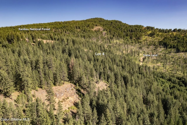 LOT4 Windham Rd, Sagle, ID 83860