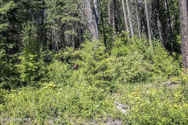LOT4 Windham Rd, Sagle, ID 83860