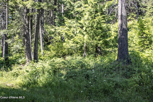 LOT4 Windham Rd, Sagle, ID 83860
