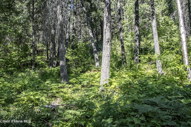 LOT4 Windham Rd, Sagle, ID 83860