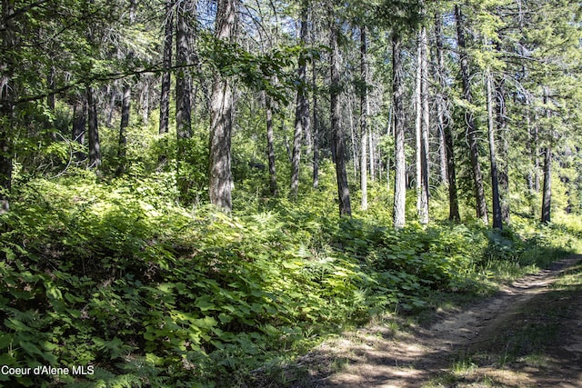 LOT4 Windham Rd, Sagle, ID 83860