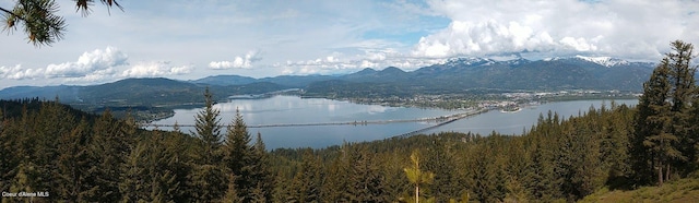 LOT4 Windham Rd, Sagle, ID 83860