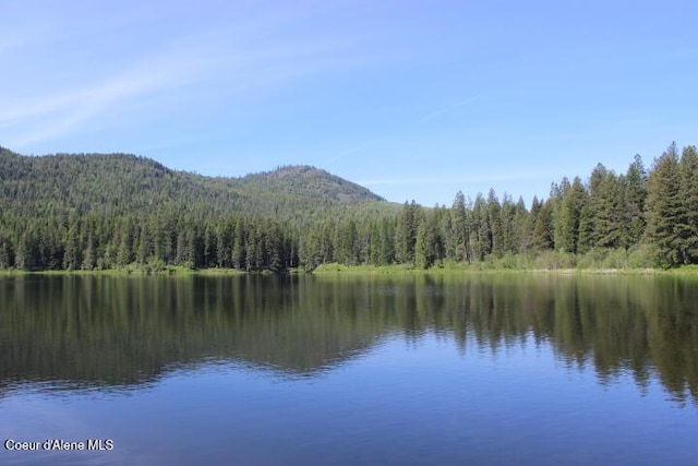 436 Mays Rd, Sagle, ID 83860 - photo 5