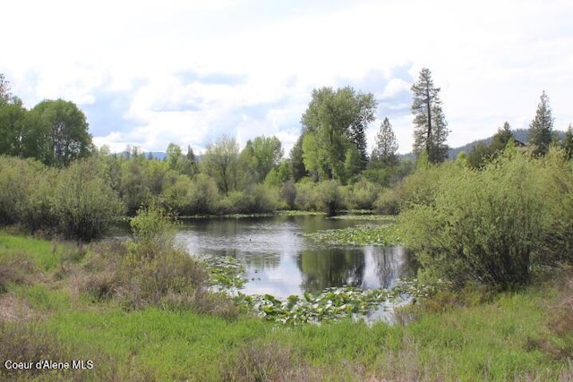 436 Mays Rd, Sagle, ID 83860 - photo 50