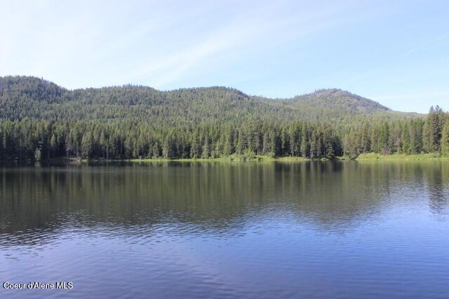 436 Mays Rd, Sagle, ID 83860 - photo 65