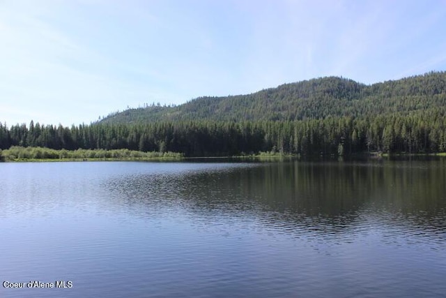 436 Mays Rd, Sagle, ID 83860 - photo 67