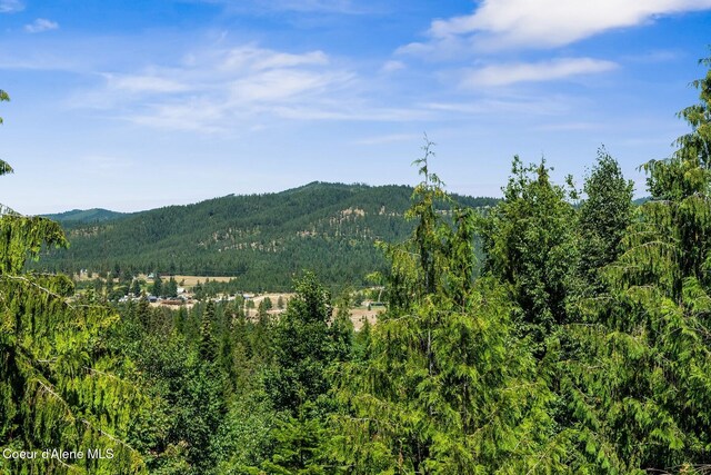101 Mathews Ridge Dr, Priest River, ID 83856 - photo 8