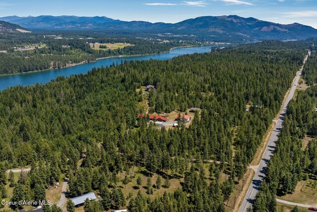 101 Mathews Ridge Dr, Priest River, ID 83856 - photo 44