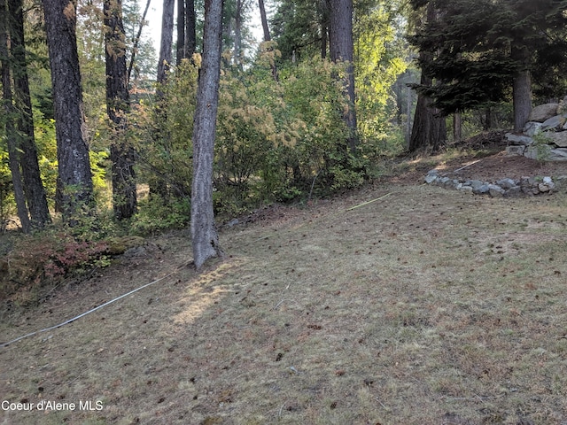 NNA Eagle Flight Way, Sagle, ID 83860 - photo 5