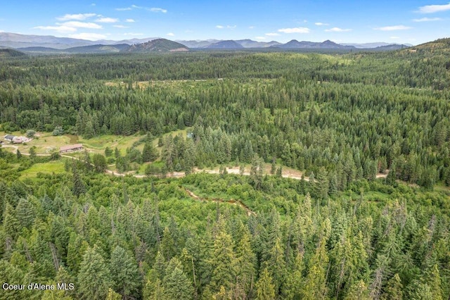 9XX Eastriver Spur, Priest River, ID 83856 - photo 2