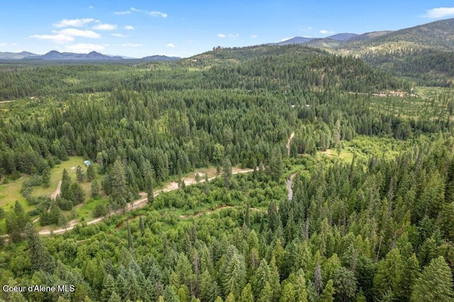 9XX Eastriver Spur, Priest River, ID 83856 - photo 3