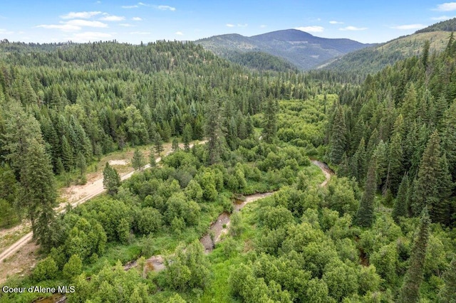 9XX Eastriver Spur, Priest River, ID 83856 - photo 4