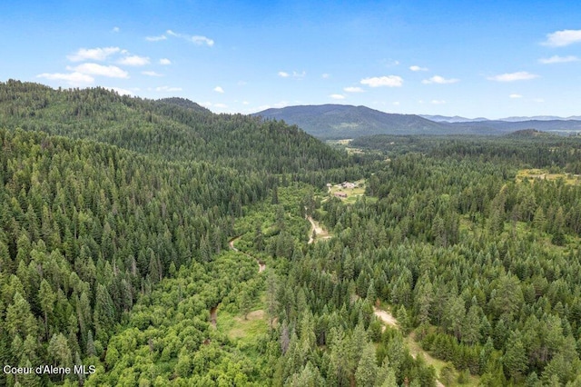 9XX Eastriver Spur, Priest River, ID 83856 - photo 5