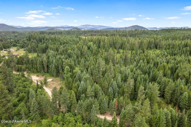 9XX Eastriver Spur, Priest River, ID 83856 - photo 6