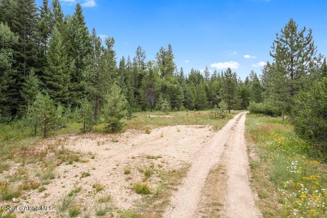 9XX Eastriver Spur, Priest River, ID 83856 - photo 7
