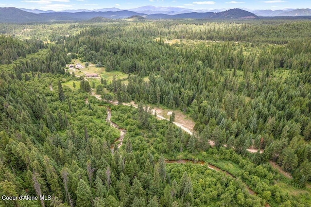 9XX Eastriver Spur, Priest River, ID 83856 - photo 8