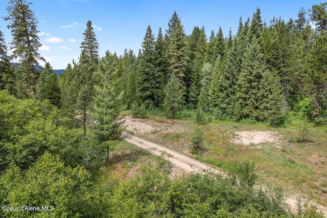 9XX Eastriver Spur, Priest River, ID 83856 - photo 10
