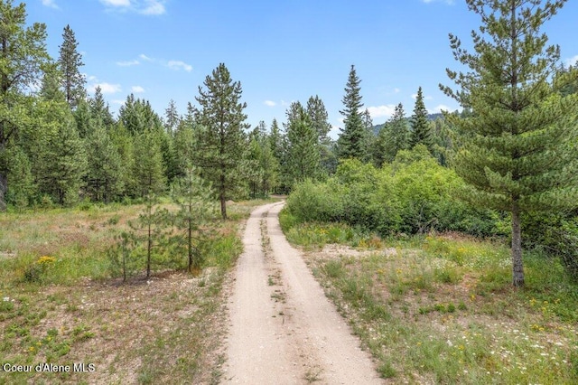 9XX Eastriver Spur, Priest River, ID 83856 - photo 11