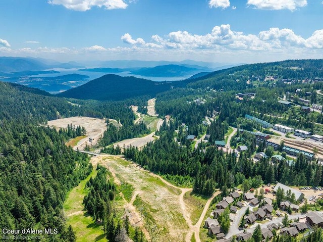 614 Telemark Rd, Sandpoint, ID 83864 - photo 5