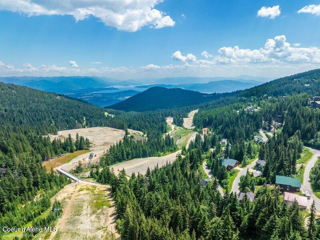 614 Telemark Rd, Sandpoint, ID 83864 - photo 6