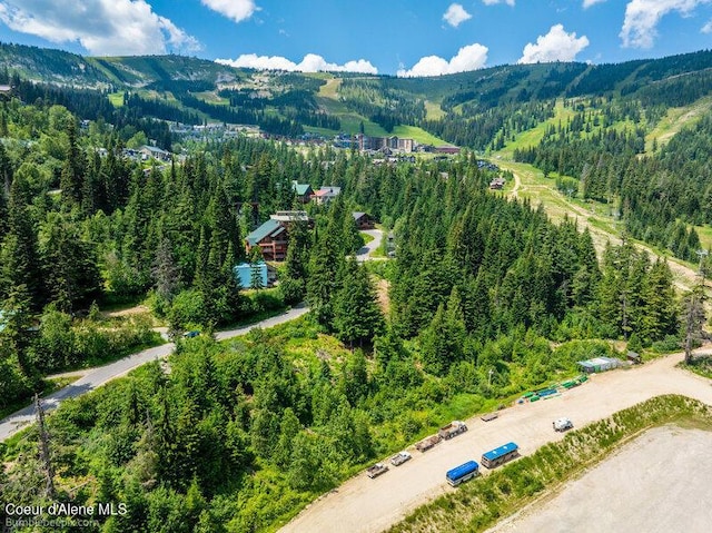 614 Telemark Rd, Sandpoint, ID 83864 - photo 7