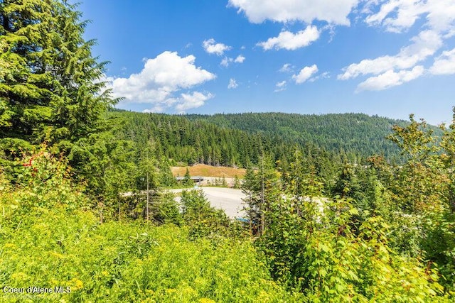 614 Telemark Rd, Sandpoint, ID 83864 - photo 11
