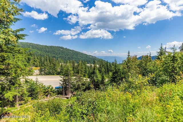 614 Telemark Rd, Sandpoint, ID 83864 - photo 12