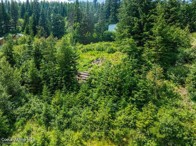 614 Telemark Rd, Sandpoint, ID 83864 - photo 13