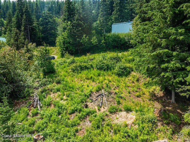 614 Telemark Rd, Sandpoint, ID 83864 - photo 15