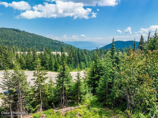 614 Telemark Rd, Sandpoint, ID 83864 - photo 14