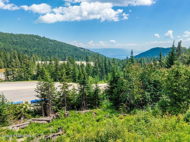 614 Telemark Rd, Sandpoint, ID 83864 - photo 16