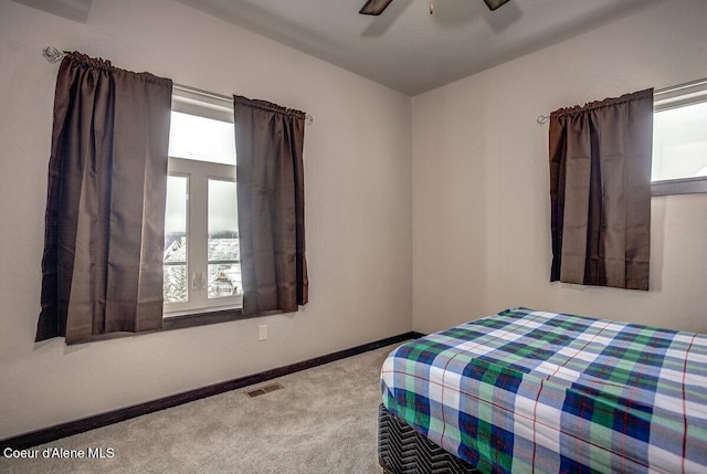 19 Chutes Ln, Sandpoint, ID 83864 - photo 21