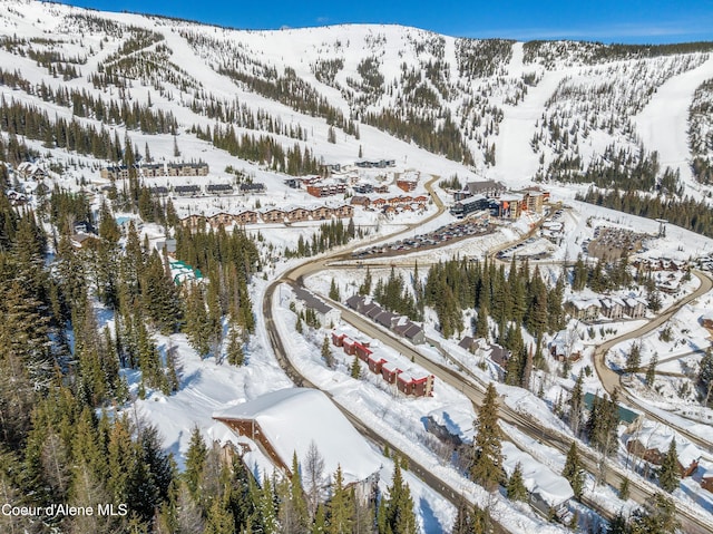 19 Chutes Ln, Sandpoint, ID 83864 - photo 41