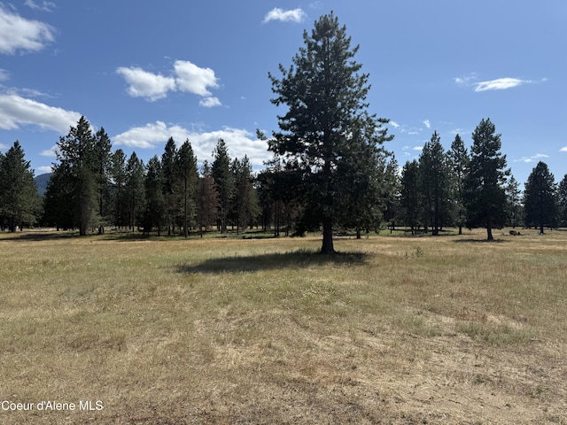 NKA Bunco, Athol, ID 83801 - photo 4