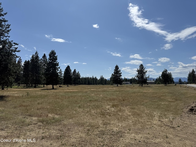 NKA Bunco, Athol, ID 83801 - photo 5