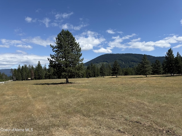 NKA Bunco, Athol, ID 83801 - photo 8