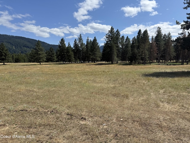 NKA Bunco, Athol, ID 83801 - photo 10