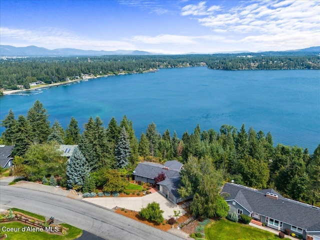 3139 E Hayden View Dr, Coeur Dalene, ID 83815 - photo 57