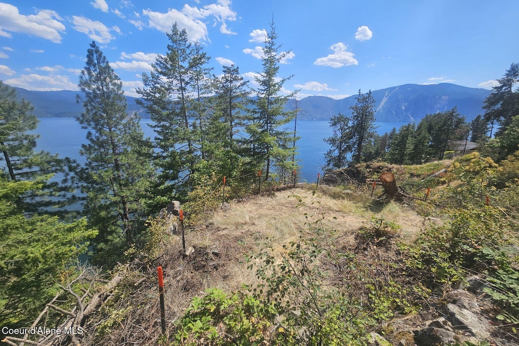 NKA Cape Horn Dr, Bayview, ID 83803 - photo 1
