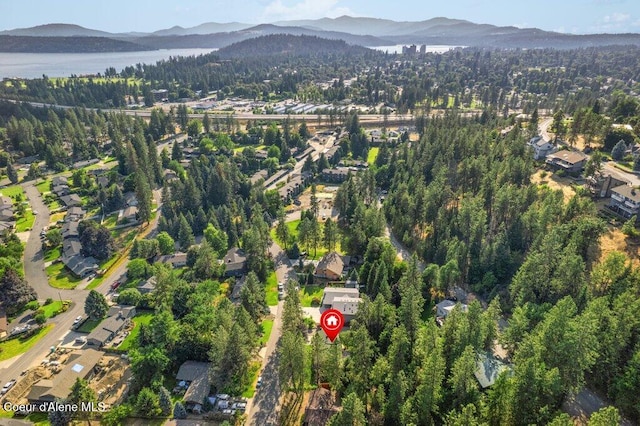 2909 E Fernan Ct, Coeur Dalene, ID 83814 - photo 44