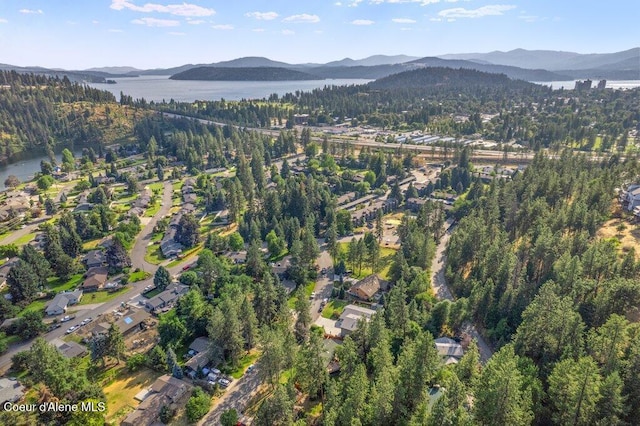 2909 E Fernan Ct, Coeur Dalene, ID 83814 - photo 49